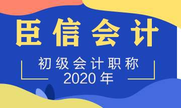 2020初级会计师