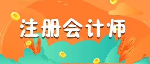 注册会计师考试:从报名到考试的攻略