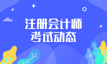 注册会计师综合考什么?