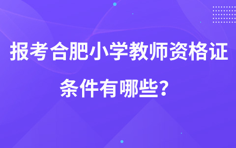 报考合肥小学教师资格证条件有哪些？