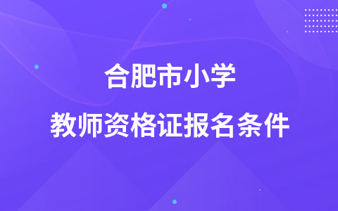 合肥市小学教师资格证报名条件