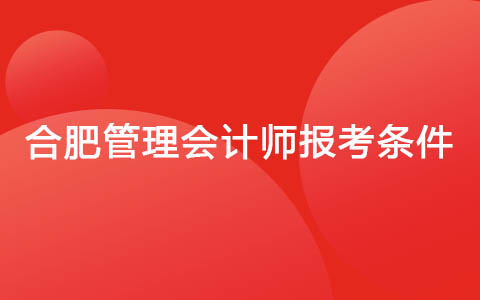 合肥管理会计师报考条件