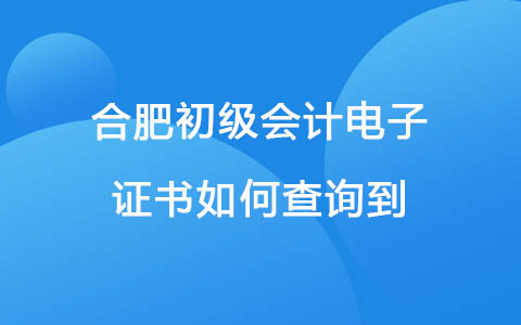 合肥初级会计电子证书如何查询到