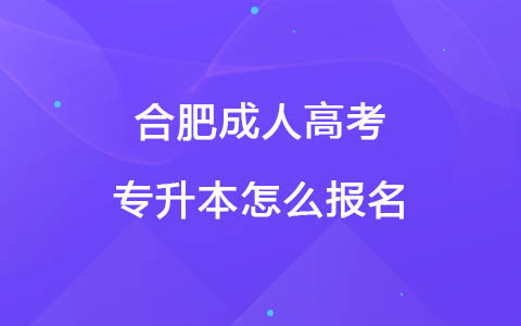 合肥成人高考专升本怎么报名