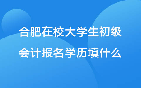 合肥在校大学生初级会计报名学历填什么