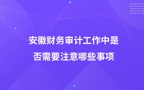 安徽财务审计工作中是否需要注意哪些事项