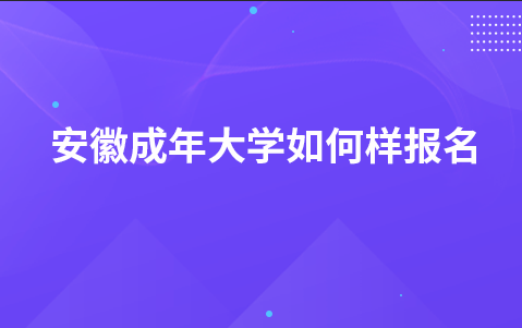 安徽成年大学如何样报名