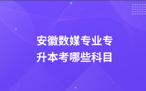 安徽数媒专业专升本考哪些科目