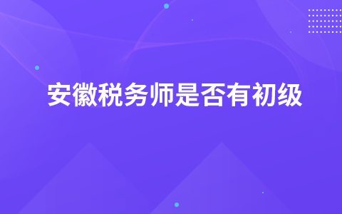 安徽税务师是否有初级