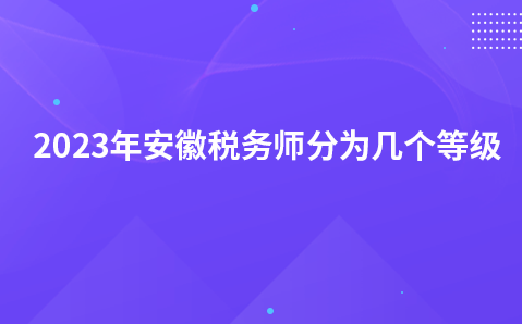 2023年安徽税务师分为几个等级