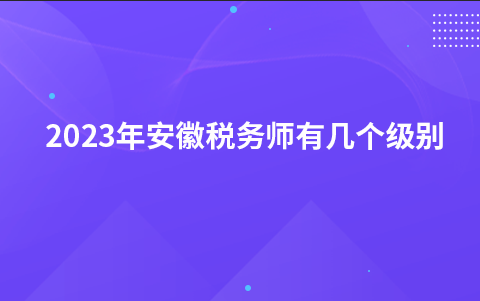 2023年安徽税务师有几个级别