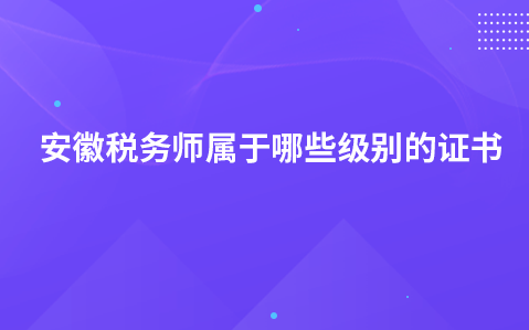 安徽税务师属于哪些级别的证书