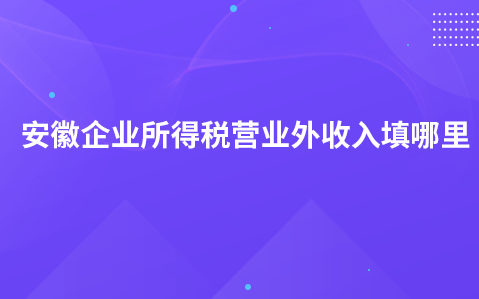 安徽企业所得税营业外收入填哪里